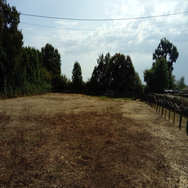 Offres de vente Terrain Juscorps 79230