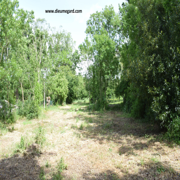 Offres de vente Terrain La Crèche 79260